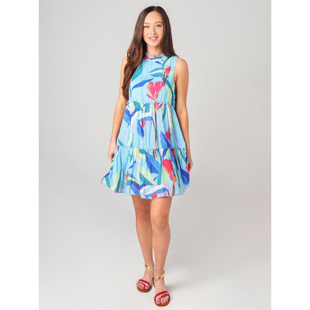 Tuckernuck Oliphant Blue Floral Cotton Silk Ruffle Tiered Mini Dress Size Large